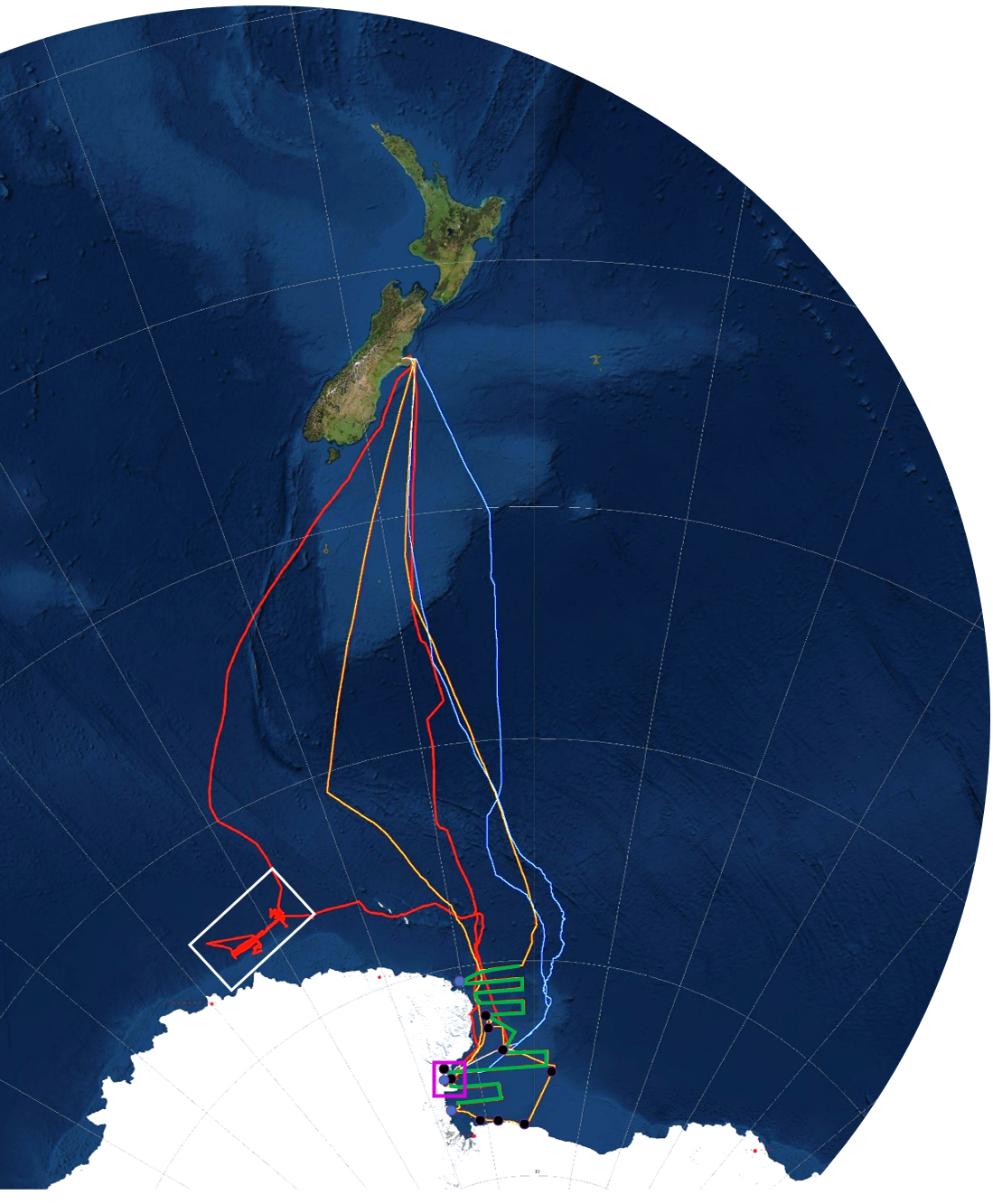 XXXVII PNRA Antarctic
        Survey: Laura Bassi Navigation